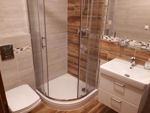 a bathroom with a shower and a toilet and a sink at Chalupa Šalalandia in Zázrivá