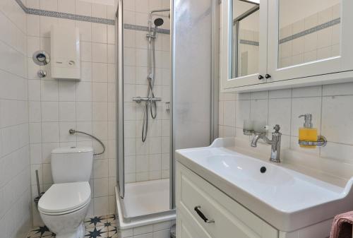 a bathroom with a toilet and a sink and a shower at Herrenhaus Blengow App.15 in Blengow