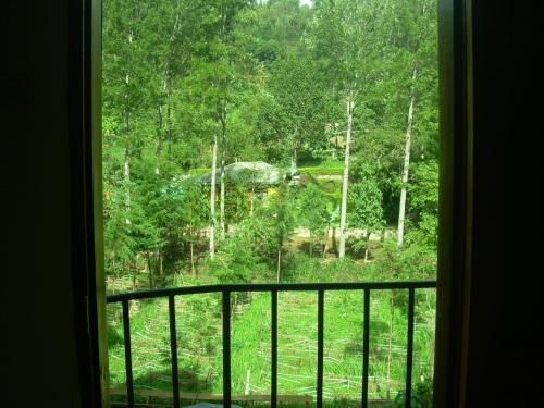 a view of a forest from a window at Kakakuona Resort in Lushoto