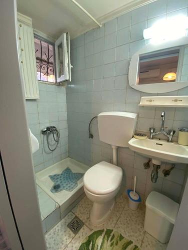 a small bathroom with a toilet and a sink at Maria,s house in Petra