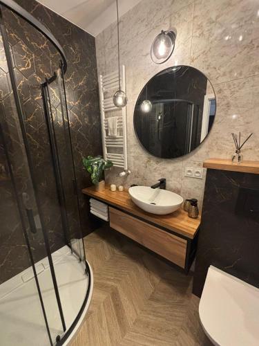 a bathroom with a shower and a sink and a mirror at Apartament SANOVA 50 in Sanok