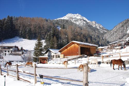 a group of horses standing in the snow near a barn at KASSNHOF - Urlaub in den Bergen in Telfes im Stubai