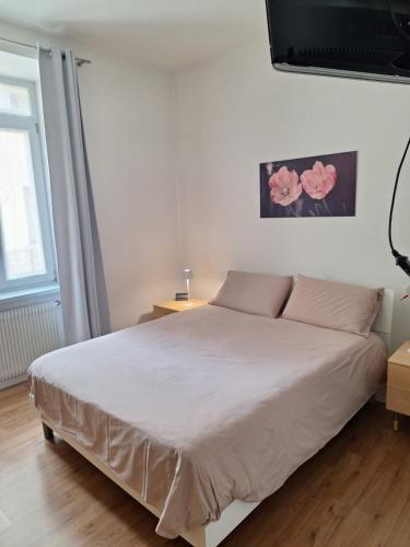 a bedroom with a large bed with pink flowers on the wall at Mi'Ele Apartments in Pergine Valsugana