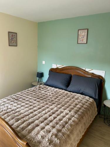 a bedroom with a large bed with blue pillows at Studio cosy 71 in Saint-Vallier