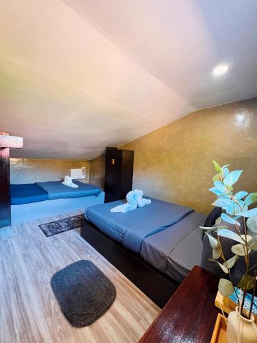 a hotel room with two beds and a plant at Hidden Garden Villa in El Nido