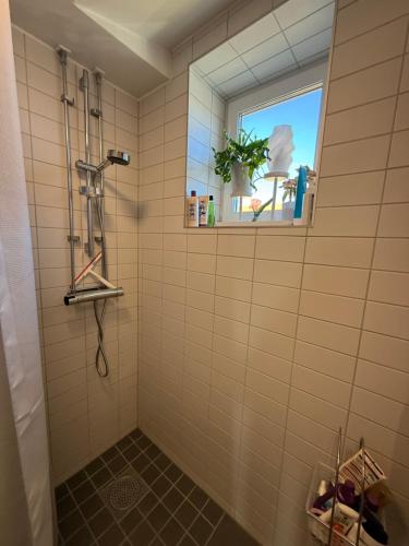 a bathroom with a shower with a window at Morfslottet in Gothenburg