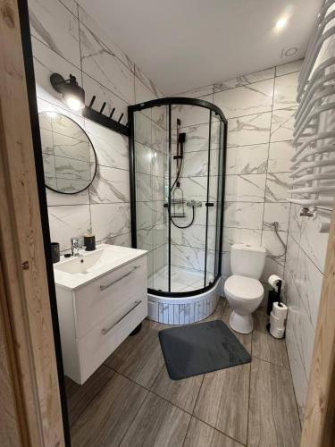 a bathroom with a shower and a toilet and a sink at Hostel Róża in Żywiec