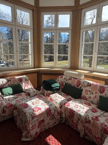 a living room with a couch and windows at Pałacyk Trzcińsko in Trzcińsko