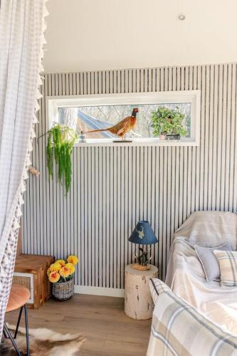 a bedroom with a bird sitting on a window sill at Kemphaontje is a Magic Tiny House with a view in Anloo
