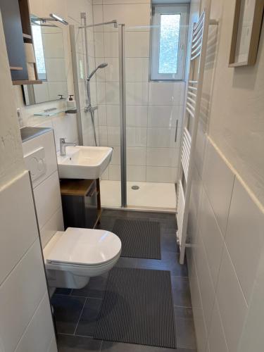 ein Badezimmer mit Toilette, Waschbecken und Dusche in der Unterkunft Moderne Wohnung mit Garten - Top Lage im schönen Mauritzviertel in Münster