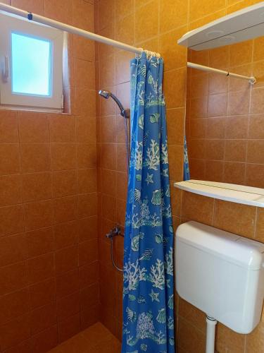 Apartmani Sandra 3