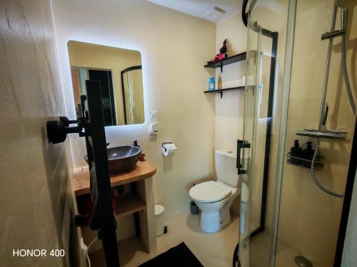 a bathroom with a toilet and a sink and a mirror at Appartement à la Hume in Gujan-Mestras