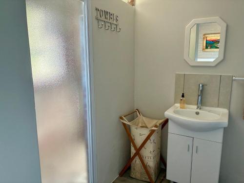 a bathroom with a shower and a sink at Godolphin beach house in Cape St Francis