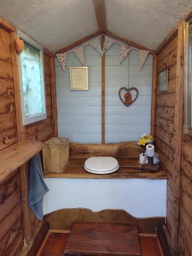 a small room with a toilet in a cabin at The Cabins Conwy in Conwy