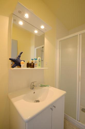 a bathroom with a sink and a mirror at Village Vacances de Chantonnay in Chantonnay