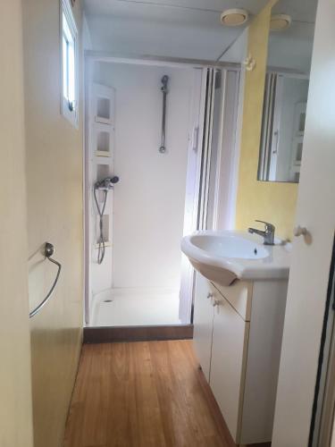 a bathroom with a white sink and a shower at La Dolce 1 in Lido di Dante