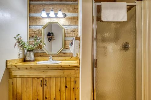 a bathroom with a sink and a mirror at Bearadise in Townsend