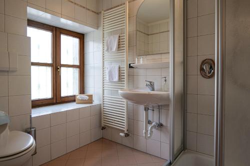 a bathroom with a sink and a toilet at Baumgartnerhof in Lagundo
