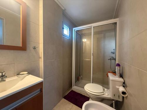 a bathroom with a shower and a toilet and a sink at Studio Roca in Rosario