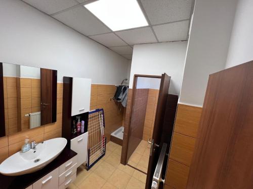 a bathroom with a sink and a toilet and a mirror at Apartmán Na Blatech in Česká Lípa