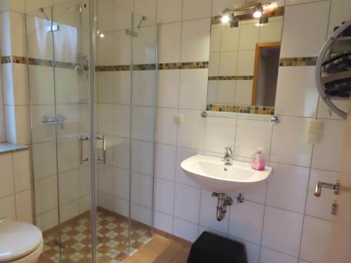 a bathroom with a shower and a sink and a toilet at Ferienhof Oldach in Bacharach
