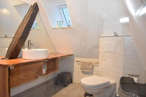 a bathroom with a sink and a toilet at Dannauer Reetkate - Wiesenblick in Oldenburg in Holstein