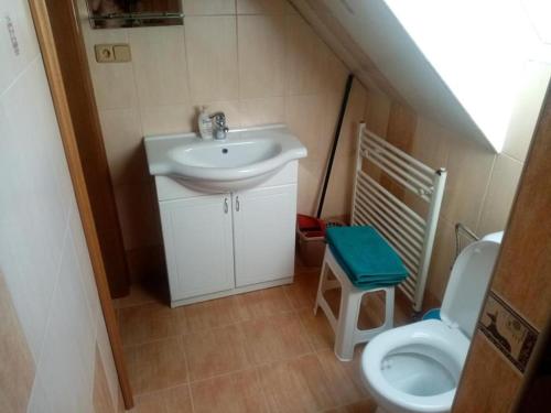 a bathroom with a sink and a toilet at Lastovička in Ihráč