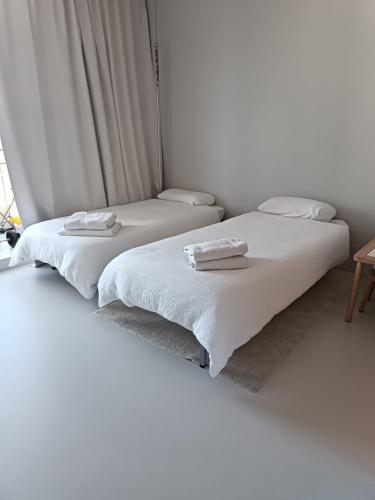 Newly Renovated Spacious Penthouse with Terrace