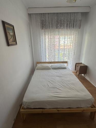 Andy's apartments