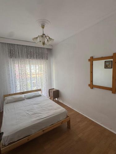 Andy's apartments
