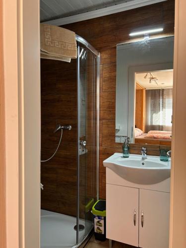 a bathroom with a shower and a sink at Ferien am Bischofsberg - Edlbach 31 in Windischgarsten