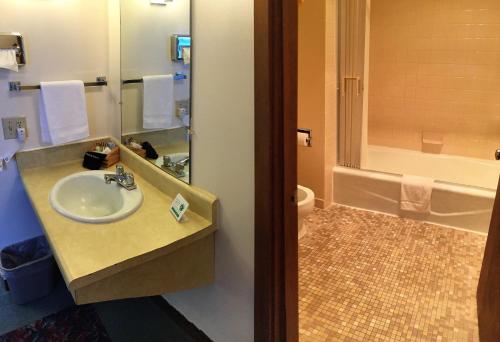 a bathroom with a sink and a shower and a toilet at Cedar Motor Inn in Marquette