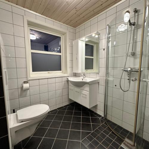 a bathroom with a toilet and a sink and a shower at Heggøy rorbuer in Heggøyni