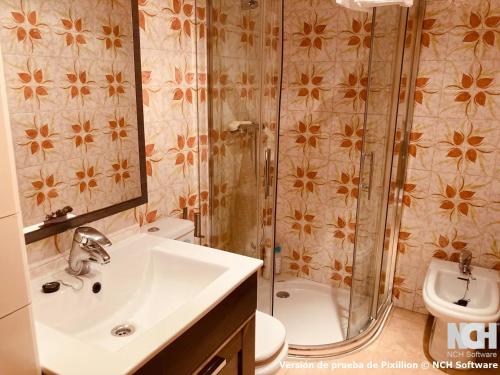 a bathroom with a shower and a sink and a toilet at Amapola 1 in Soria