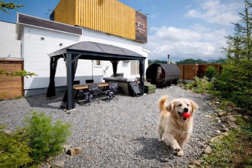 a dog running with a ball in its mouth at ZABOCON Yoichi Villa in Yoichi