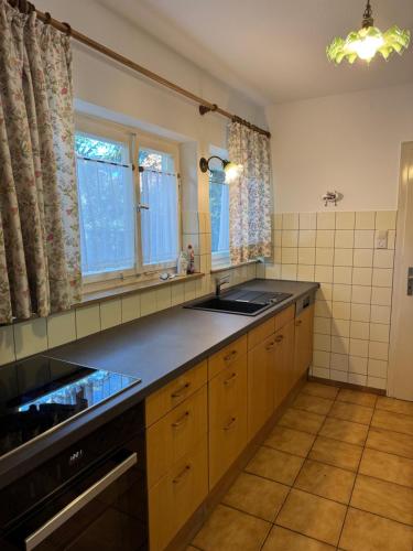 a kitchen with a sink and a counter at Greenhouse in Fellbach