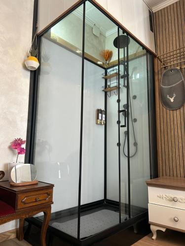 a shower with a glass enclosure in a bathroom at Appartement in Oberschaeffolsheim