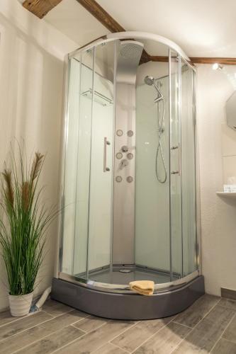 a shower with a glass enclosure in a bathroom at Waldhotel Seebachschleife in Bayerisch Eisenstein