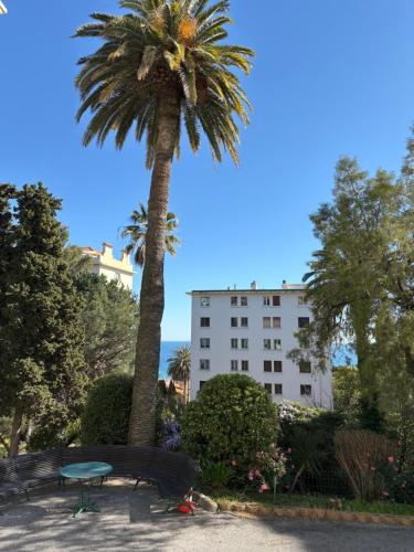 Cannes situation idéale
