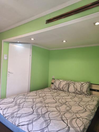 a bedroom with a bed and a green wall at Apartman Andjela 1 in Vrdnik