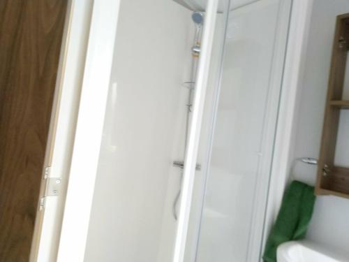 a bathroom with a shower with a toilet and a sink at Nutmeg golden sands haven in Mablethorpe
