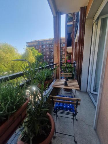 Casa Ale