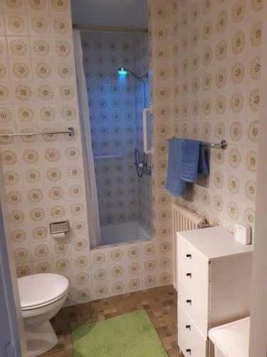 a bathroom with a shower and a toilet and a sink at rest at last in Geneva