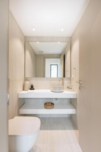 a bathroom with a toilet and a sink and a mirror at Villa Erifyli in Aghia Marina