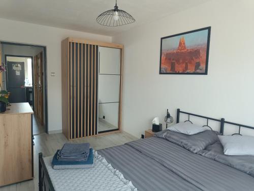 a bedroom with a bed and a mirror at Apartament SIEDEMNAŚCIE in Sanok