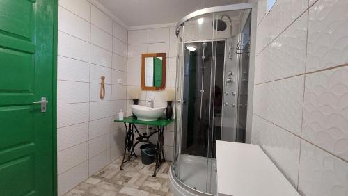 a bathroom with a sink and a shower at Konyhadűlő Vendégház in Kiskunmajsa