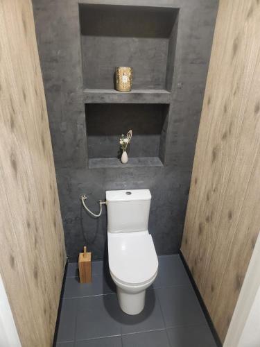 a bathroom with a white toilet in a room at Le Cocon Du Lac in Nantua