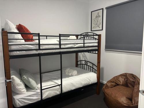 two bunk beds in a room with a window at Urban Pause - Donnybrook in Donnybrook