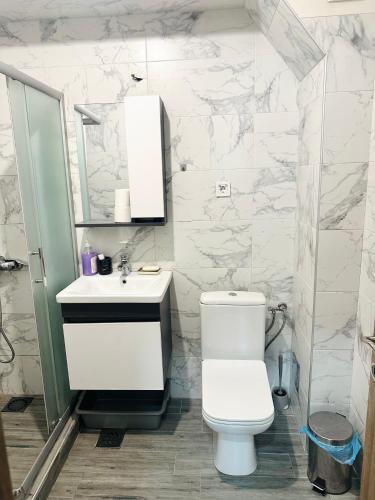 a bathroom with a toilet and a sink and a mirror at Centar Apartment in Kumanovo
