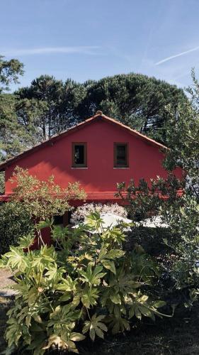 a red house with bushes in front of it at Casa de Margacide in Vila Nova de Cerveira